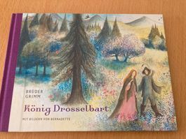 Kinderbuch "König Drosselbart" Brüder Grimm, illustriert