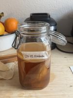 Kombucha Scoby (Zurich Enge) 