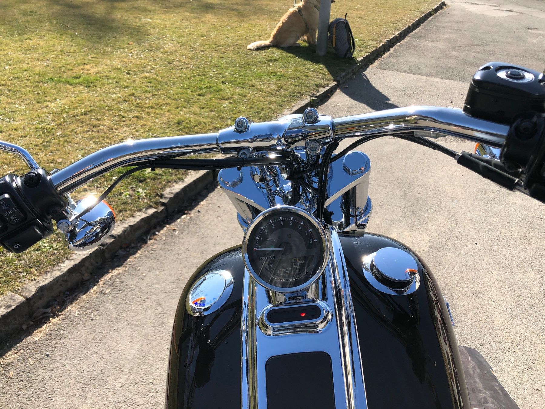 Harley-Davidson Chopper: HARLEY DAVIDSON FXCWC ROCKER C – Usato da Unterseen venduto da sfeller 4