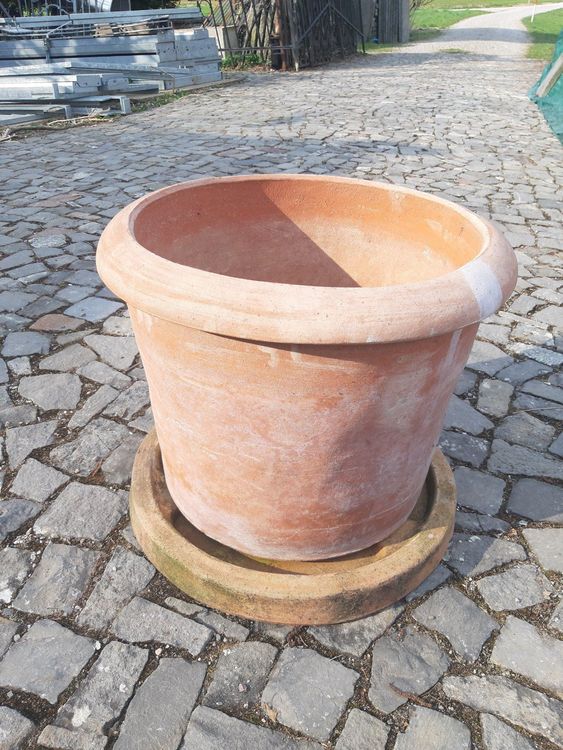 Vensovo 15,2 Cm Tontopf Mit Untersetzer – 4er Set Terrakotta-Blumentöpfe Mit Drainageloch, Für Innen & Außen, Für Sukkulenten, Kakteen & Kräuter – Bruchsicher Verpackt