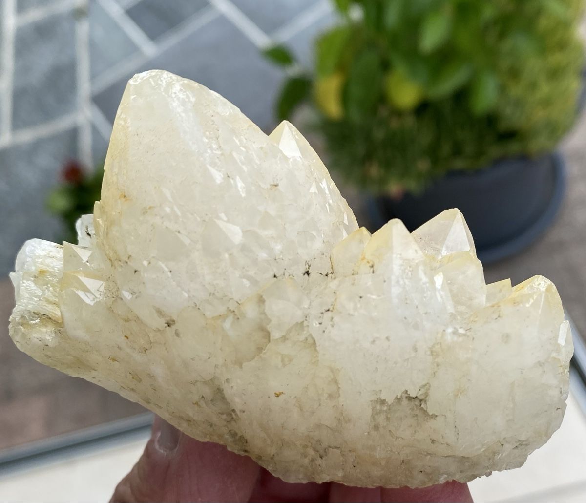 Mineralien & Heilsteine: Schöner Kaktusquarz – Gebraucht aus Selzach von 321compac 8
