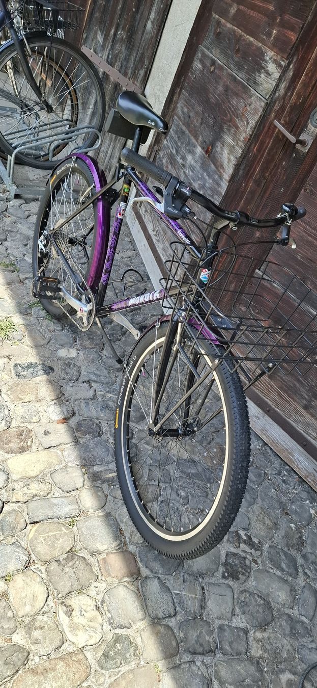 Mondia Velos: MONDIA EXPEDITION – Gebraucht aus Adliswil von trujillo01 4