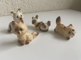 Katzen