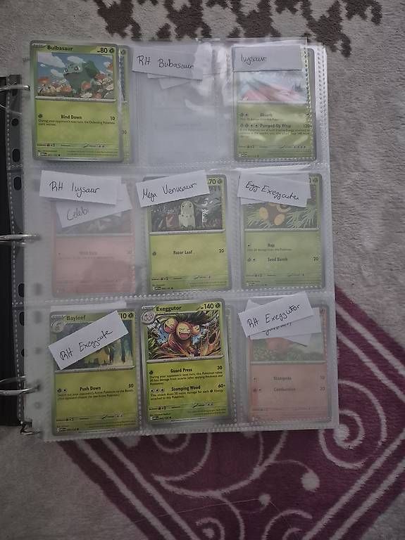 Carte collezionabili: Pokemon Karten im Ordner – Usato da Zürich venduto da ajl_lt2c