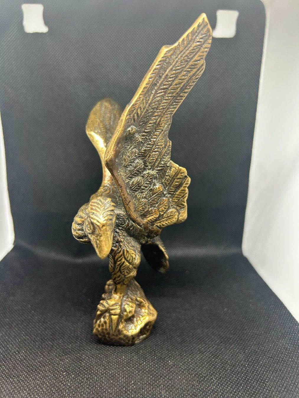 Sculture & Statue: Magnifique Bronze statue Condor – Usato da Lausanne venduto da Weber1007 1