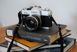Canon FTb QL - Canon FL 28mm 1:3.5 - Film getestet