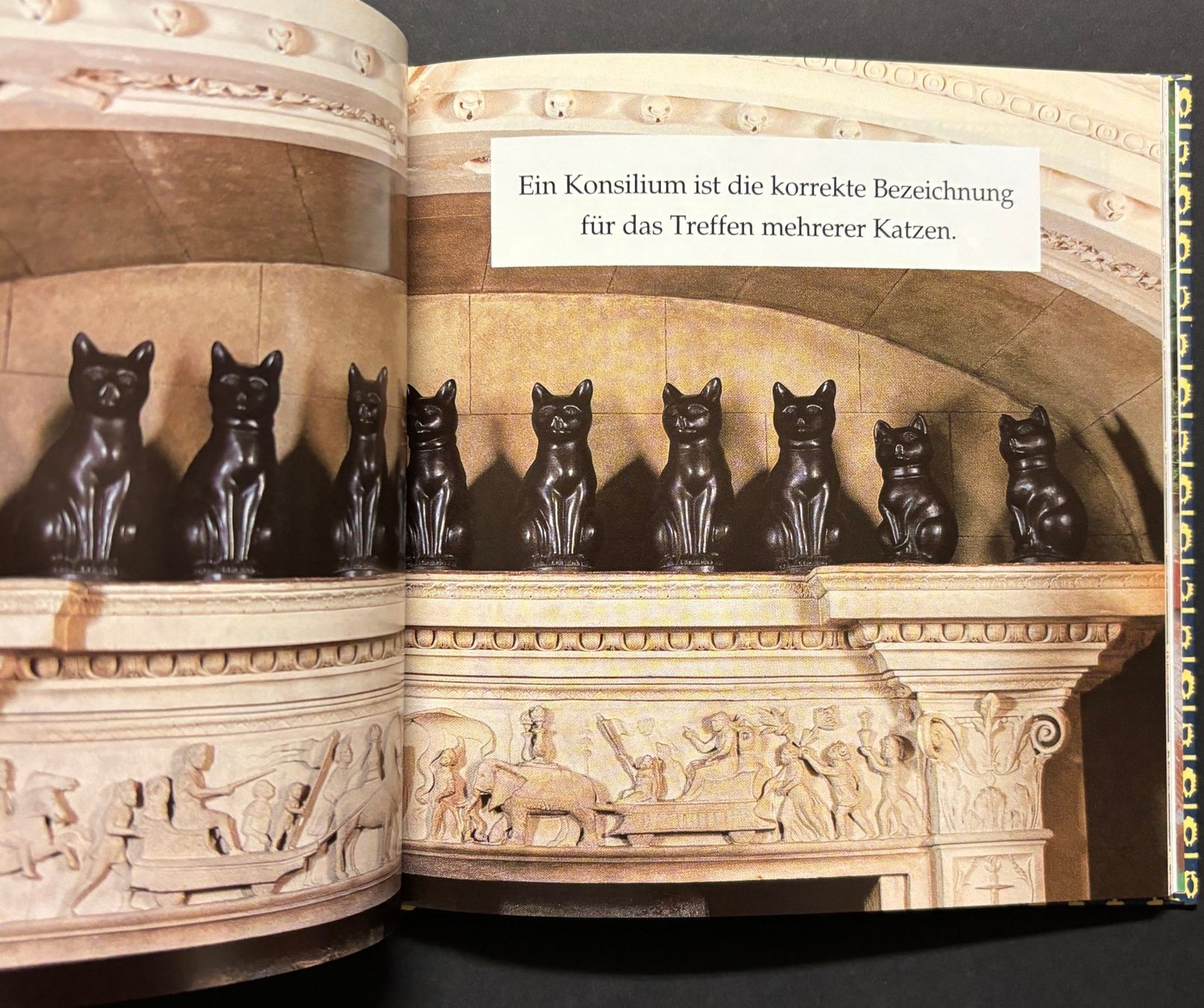 Libri: Katzen-Idylle – Nuovo (secondo la descrizione) da Sarnen venduto da Livres 3