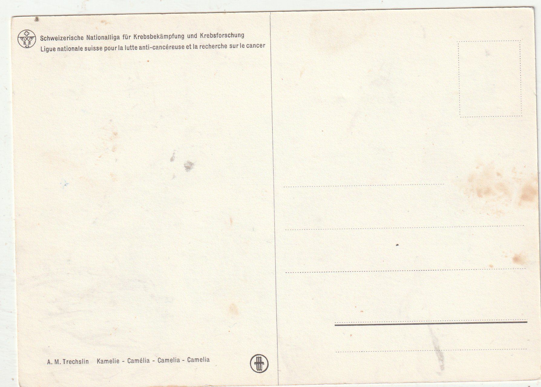 Cartes postales: Blumenkarte – D'occasion à Lumbrein par made02 1