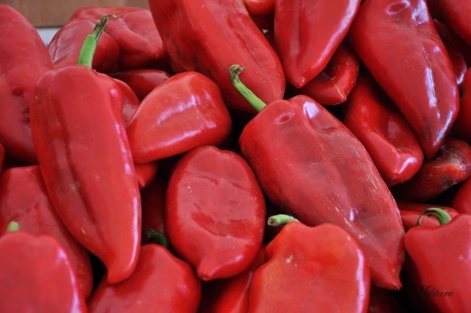 Piante & sementi: 50 Samen Paprika Kapia Rot Süss – Nuovo (secondo la descrizione) da Ehrendingen venduto da VerveinaSamen 2
