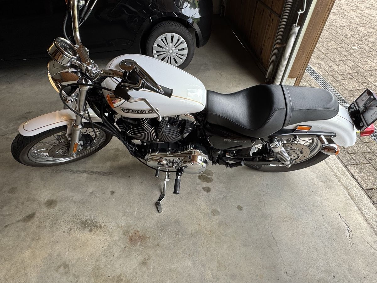 Chopper: Harley Davidson – Usato da Nesslau venduto da cwaege 2