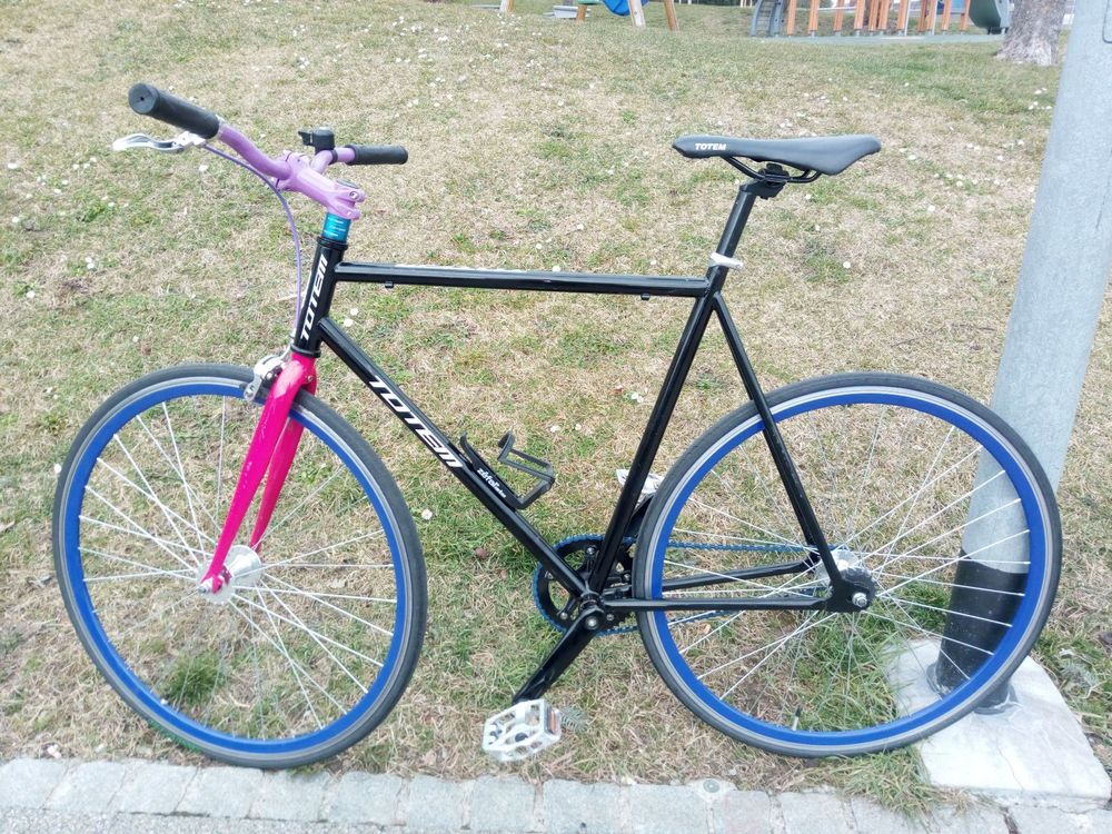 Totem fixie Kaufen auf Ricardo