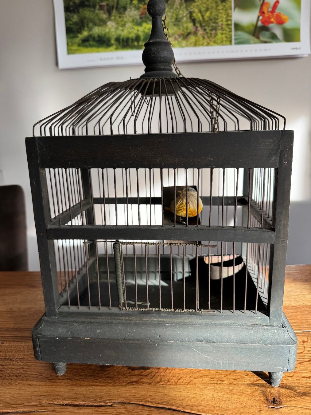 Tutte le decorazioni: Deko Vogelkäfti Holz Metallstäbe – Usato da Oberrohrdorf venduto da ker_5h67