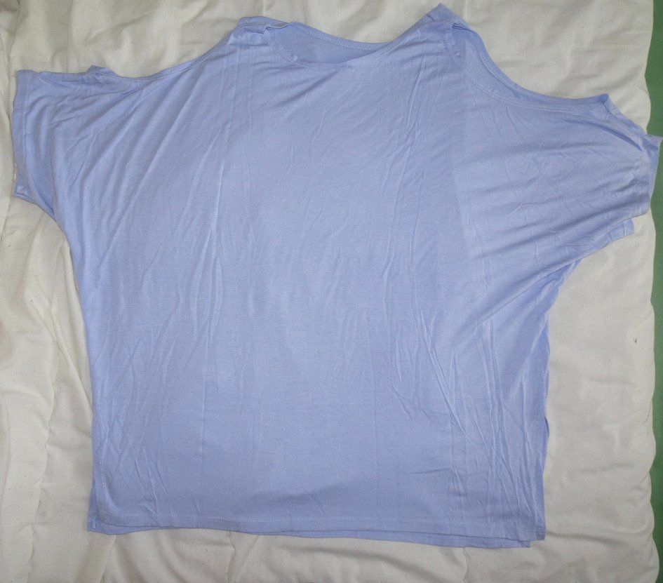 Zebra T-Shirts: T-shirt bleu ciel ZEBRA taille L – Gebraucht aus Châtelaine von Gio54321 3