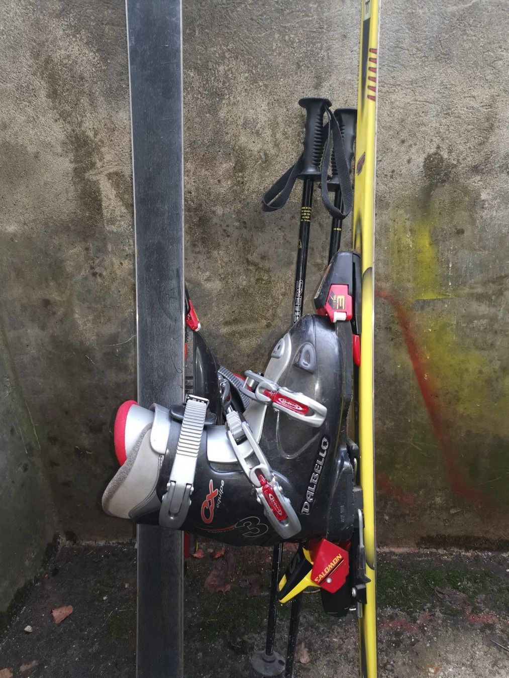 Elan Sci: Skiset mit Ski, Schuhe und Stöck – Usato da Oberburg venduto da balthassar 3