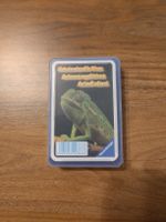 Ravensburger: Geheimnisvolle Tiere Kartenspiel