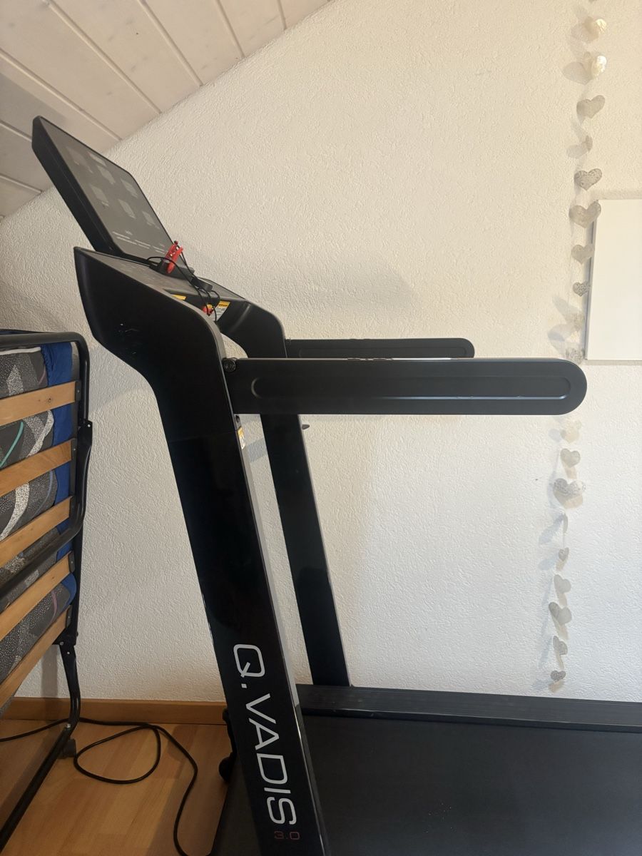 Vélos d'appartement: Laufband Q.Vadis Hammer – Neuf (Voir description) à Wiliberg par mic_2ln5 1