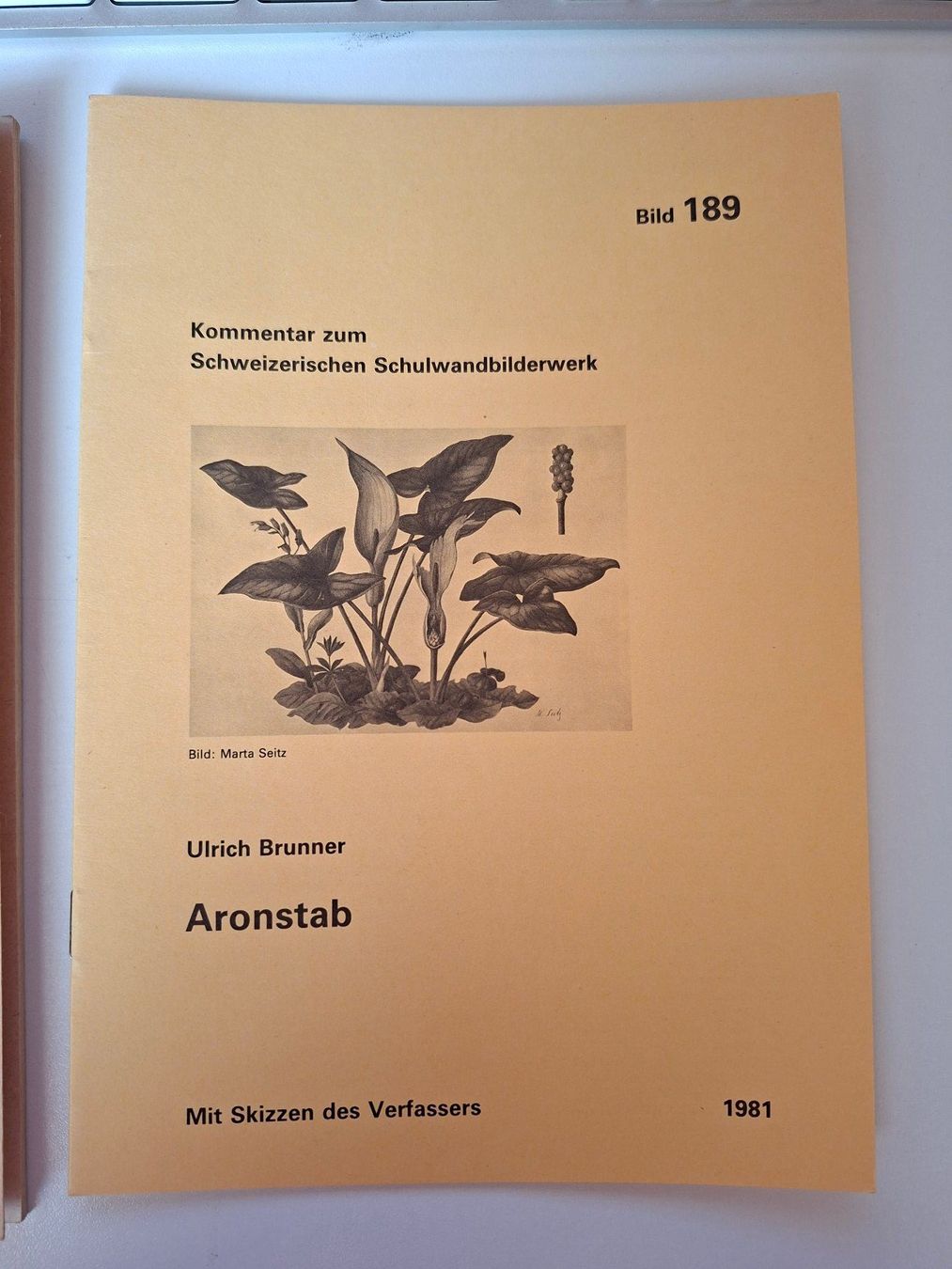 Libri: Aronstab - Kommentar zum Schulwandbild, 1981! – Usato da Dietikon venduto da Buchantiqdietikon