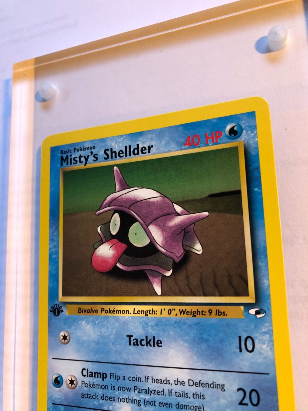 Cartes à collectionner: Misty's Shellder 1st Gym Heoes - MINT - ab 1.- – D'occasion à Giubiasco par dan_pr8b 3