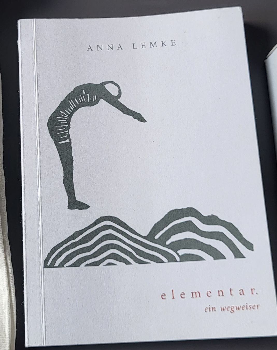 Libri: Anna Lemke elementar ein wegweiser Zustand wie neu – Usato da Brunnen venduto da Burger_king 1