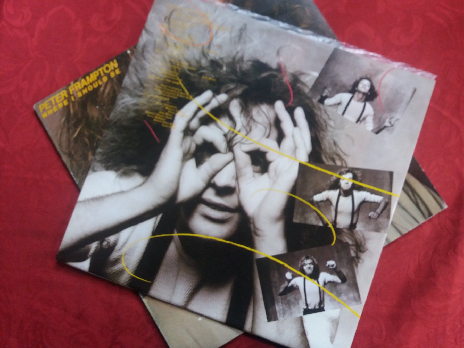 Dischi in vinile: LP (Peter Frampton) Where i should be – Usato da Meyrin venduto da toutatis 2