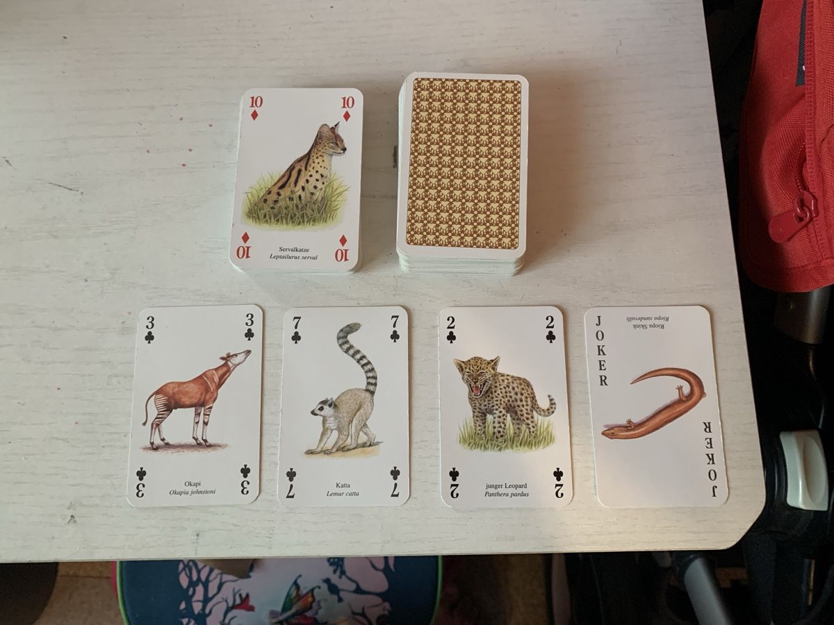 Giochi: Jasskarten Wildtiere / Grosskatzen – Usato da Oberentfelden venduto da chelsea25 1