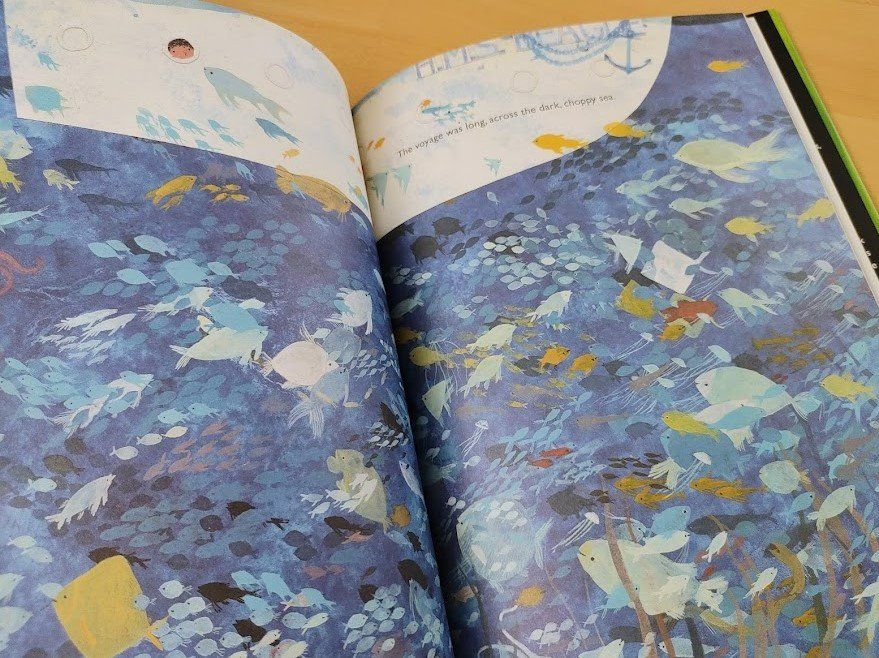 Bücher: Children's Book: Jemmy Button – Gebraucht aus Zürich von Mar_Mic 2