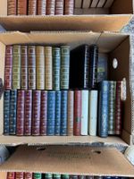 Lot 29 livres reliés classiques littérature – vintage
