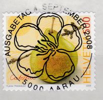 2008, DAUERMARKE ALTE OBSTSORTEN - BIRNE CATILLAC, ET-VOLLST