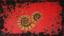 Acrylbild Ammoniten