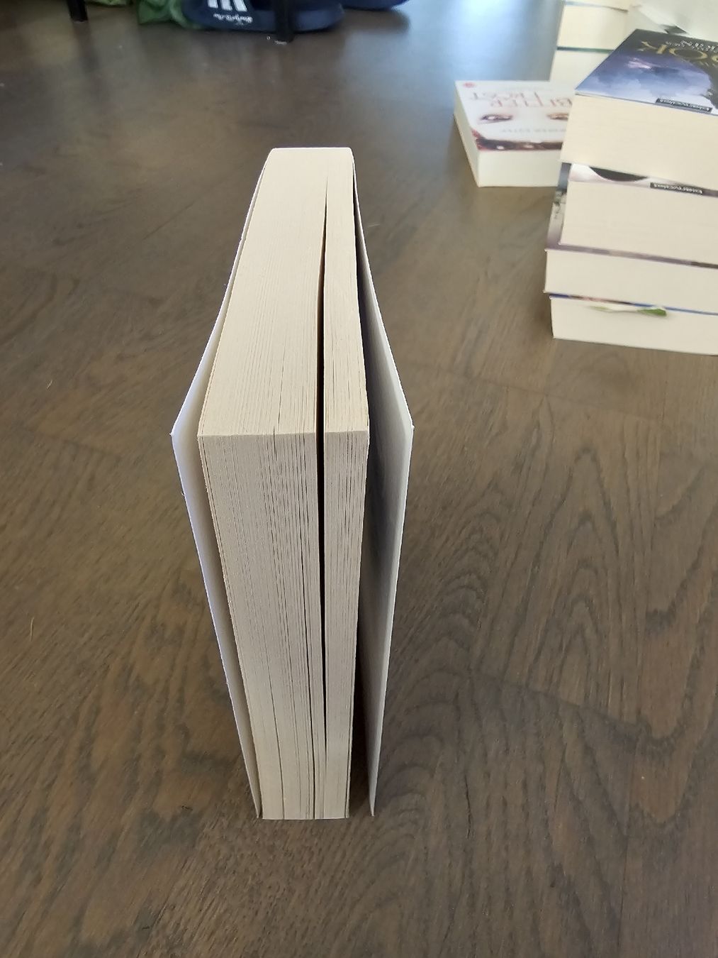 Libri: Die Sehnsucht des Dämons - Stephanie Chong – Usato da Hinterforst venduto da impatiently 3