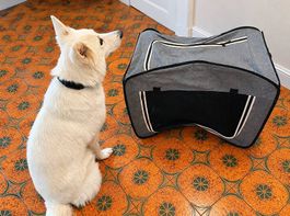 Caisse de voyage pour chien