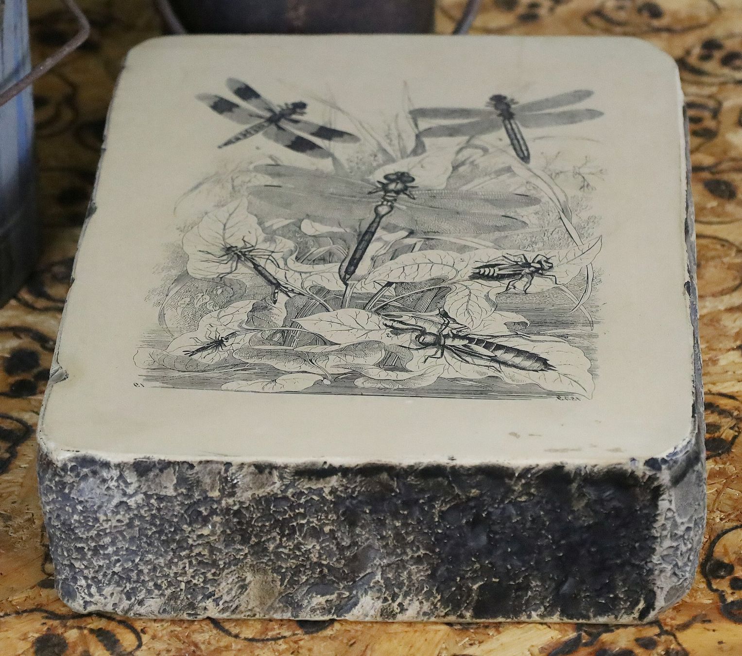 Grafiken & Lithographien: Lithostein, Lithographie "Libelle, Libellen" – Gebraucht aus Birrwil von brandschatz_birrwil 5