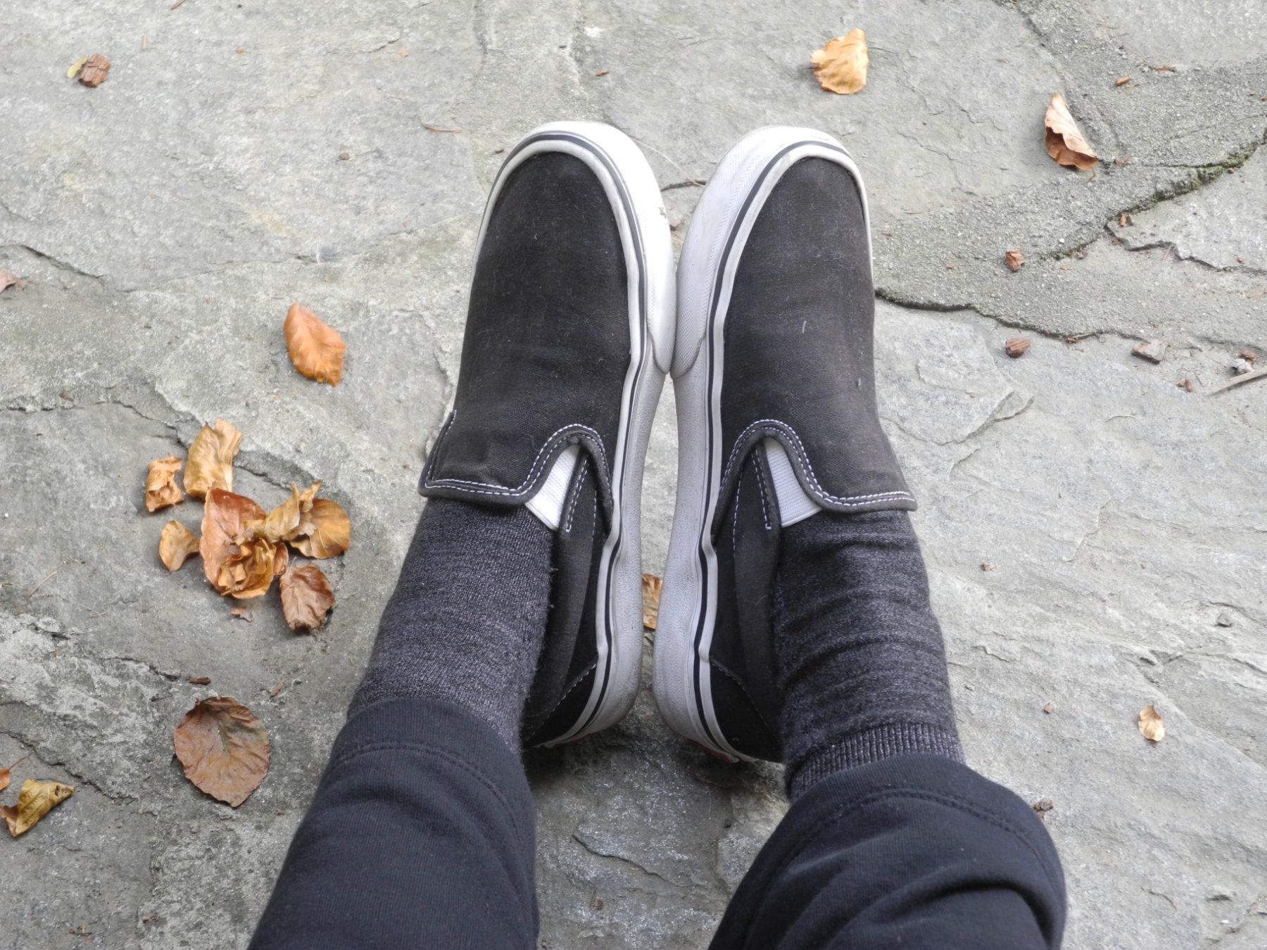 Vans Herrenschuhe: Vans sneakers 38 never used – Neu (gemäss Beschreibung) aus Bellinzona von Samirablank 2