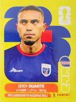 Panini FIFA World Cup CPV 14