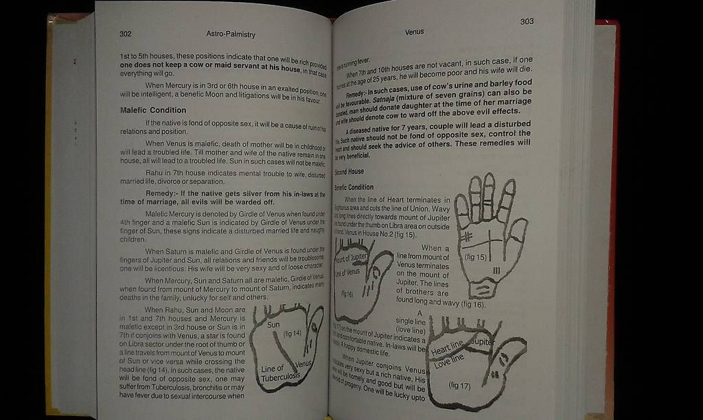 Libri: Astro Palmistry, englisch, 617 Seiten – Nuovo (secondo la descrizione) da Adliswil venduto da JanineT. 2