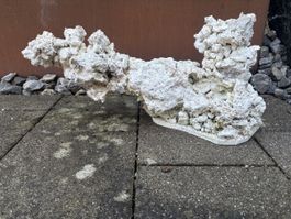 Atoll Riffsäulen und jede Menge Riffgestein