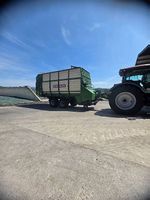 Ladewagen Kurzschnittladewagen Bergmann