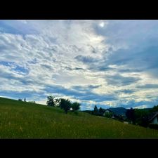 Profile image of camin82