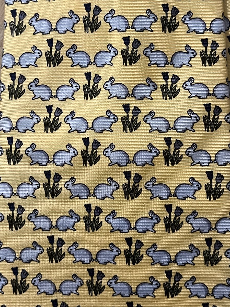 Cravatte: Krawatte / Cravate / Necktie / Cravatta - Paolo Della Vigna – Usato da Lugano venduto da VariousCollection 1