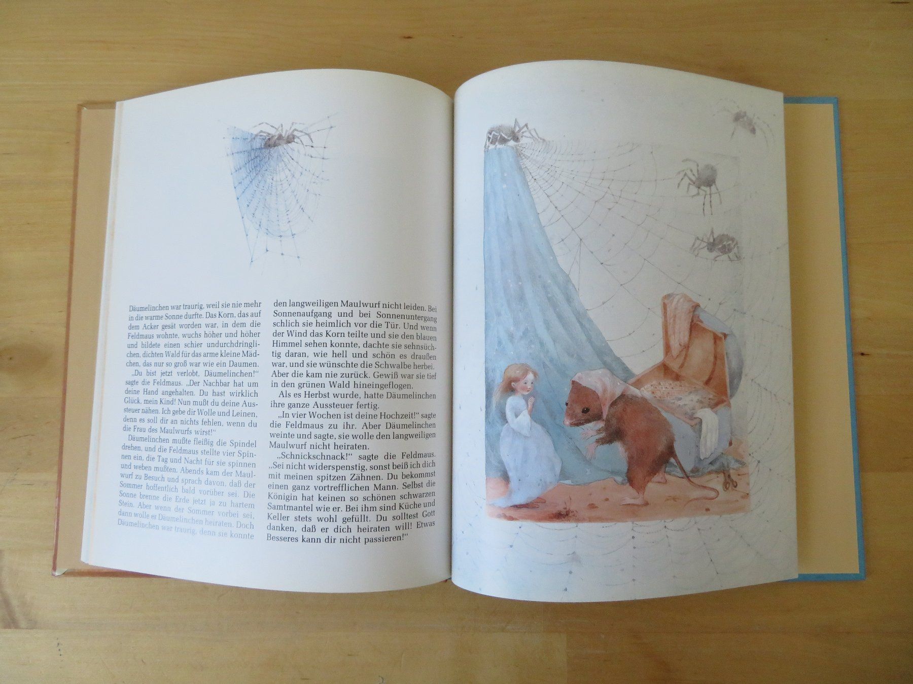 Libri: DÄUMELINCHEN Hans Christian Andersen – Usato da Zürich venduto da piroma 6