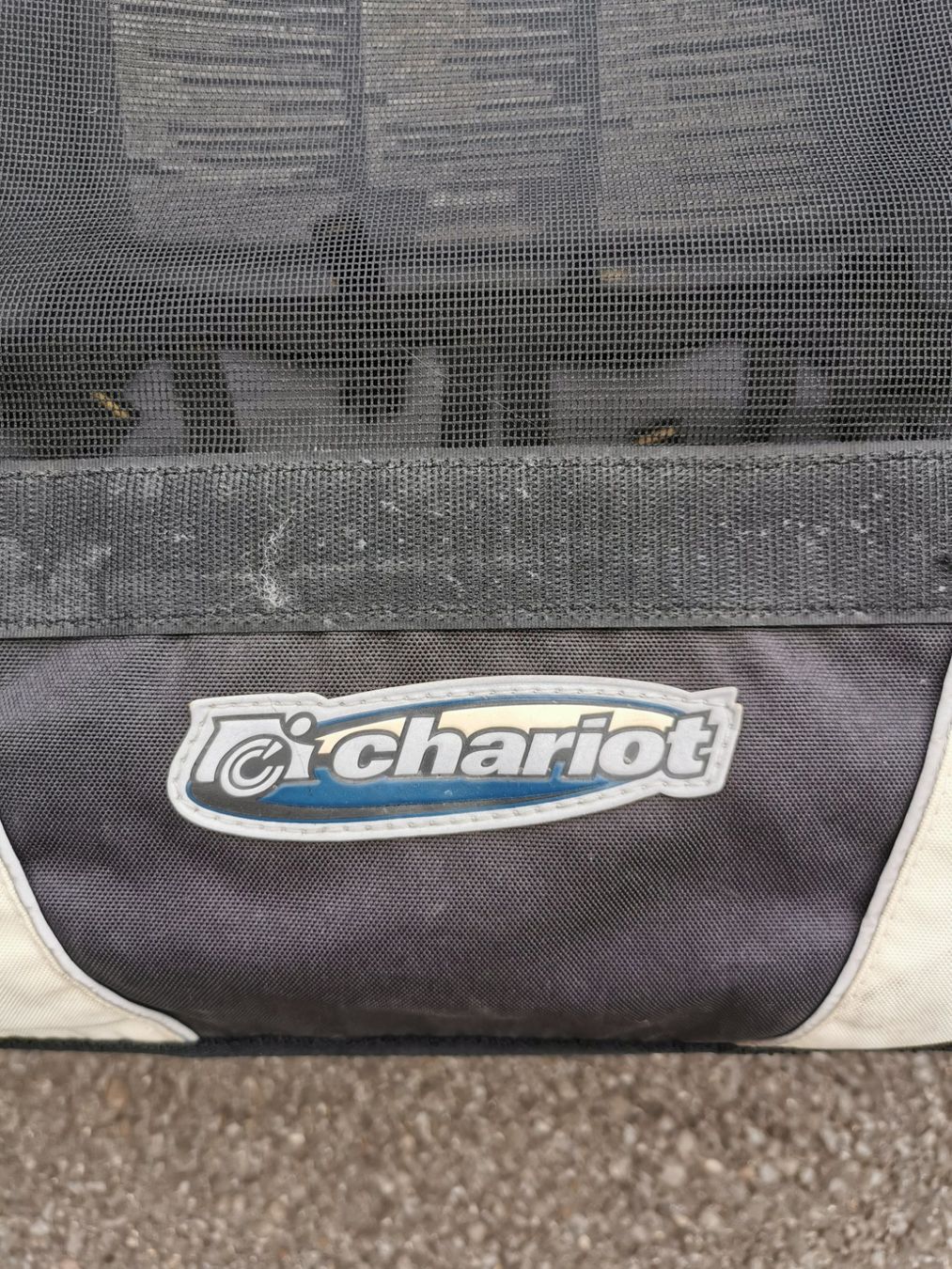 Rimorchi: Thule Chariot Fahrradanhänger – Usato da Einsiedeln venduto da Fspeed25 6