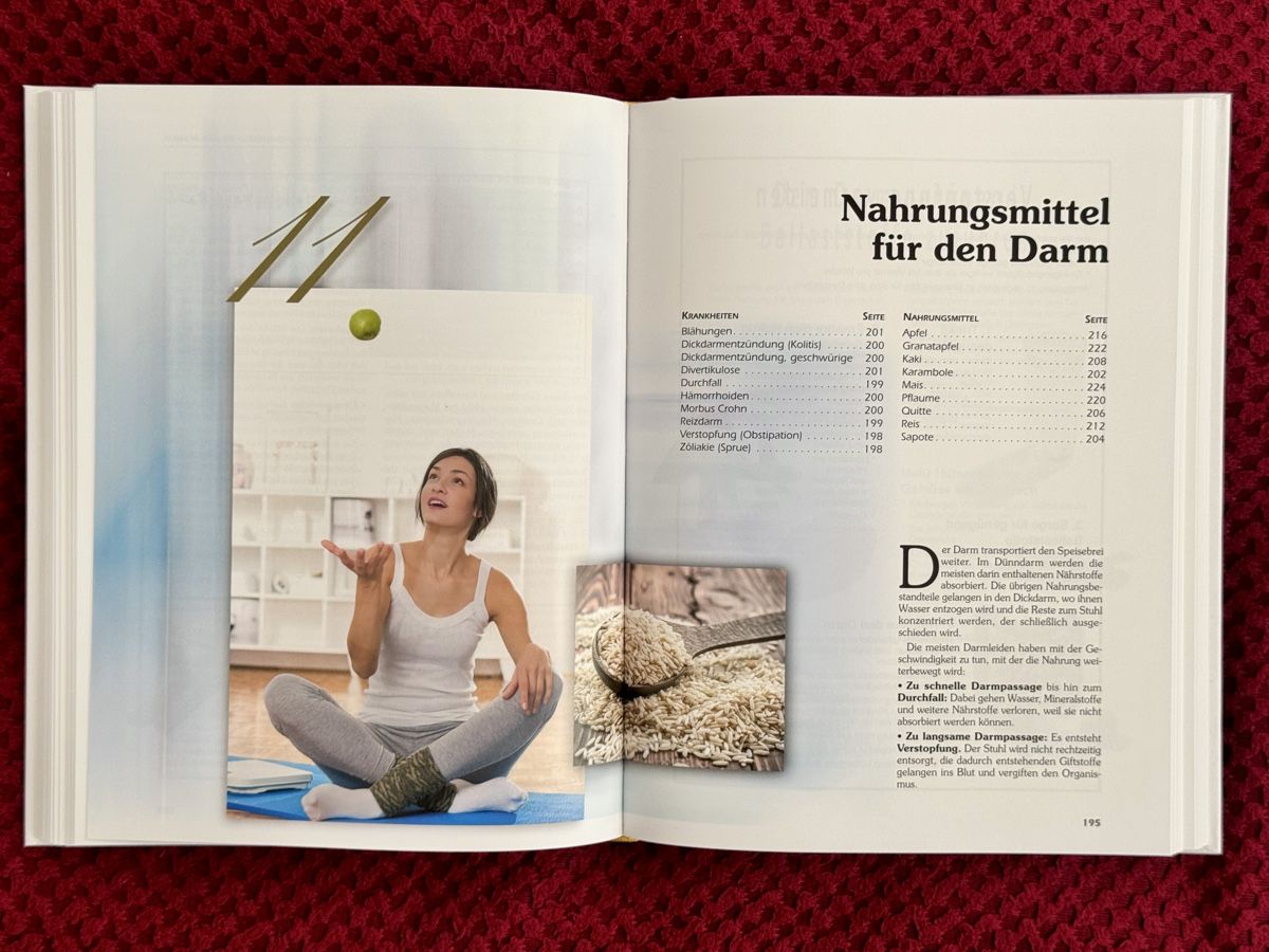 Libri: Heilkräfte der Nahrung - Praxishandbuch – Nuovo (secondo la descrizione) da Küblis venduto da AlpinePro_GR 7