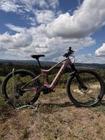 Scott Contessa Genius eRIDE 910 E-MTB  Gr. M nur 2817 km