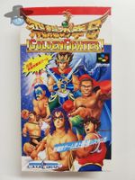 Golden Fighter                        / JAPAN / SuperFamicom