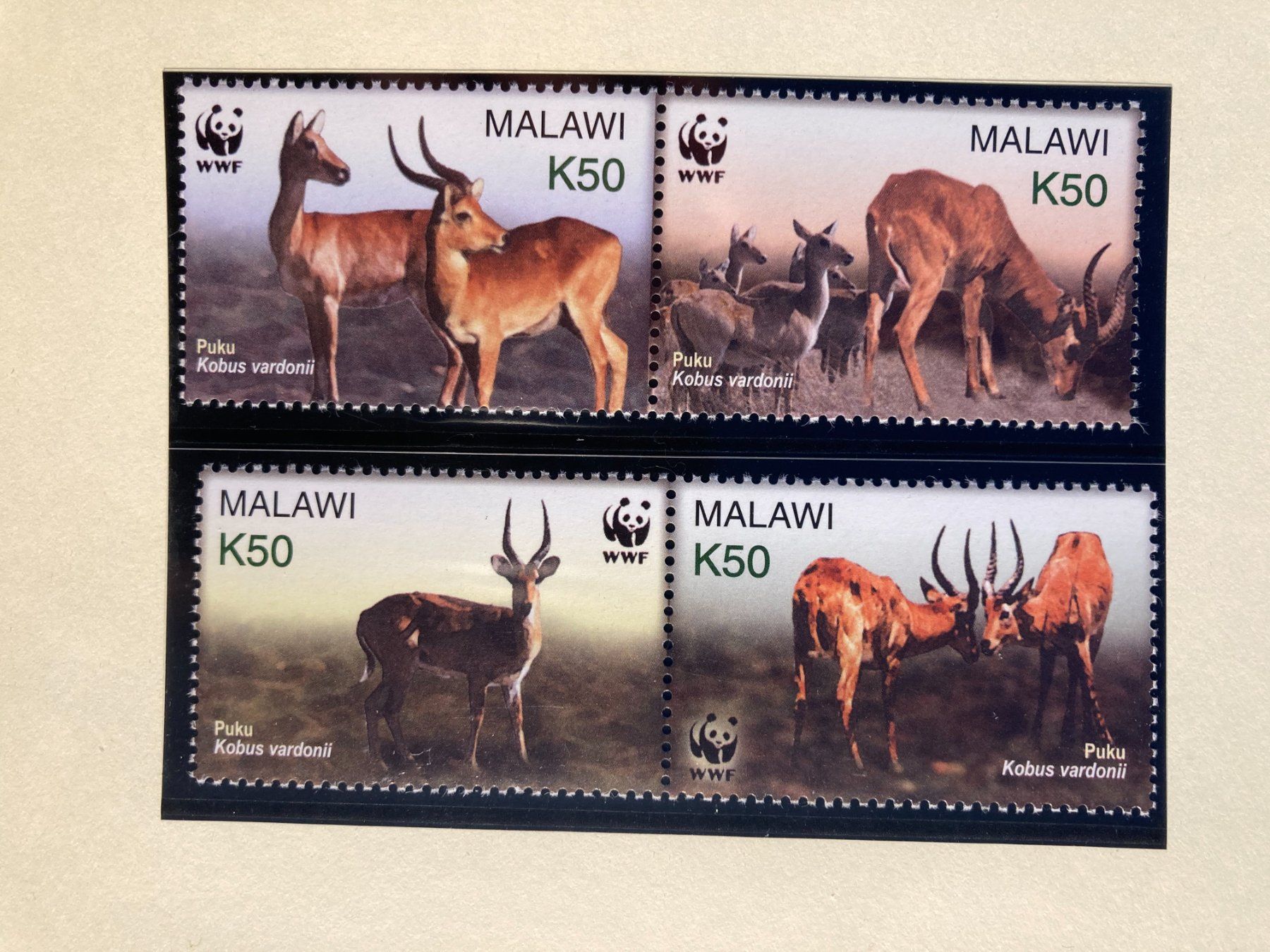 Tutti i francobolli: Malawi 2003 WWF Satz Puku Antilope postfrisch – Nuovo (secondo la descrizione) da Liestal venduto da schnueps