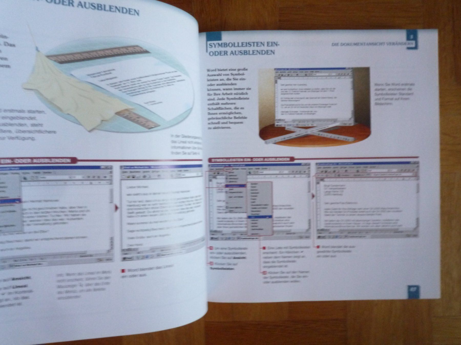 Libri: Word 2000  - "Das neue Einsteigerbuch" – Usato da Rafz venduto da Sonnenblume305 4