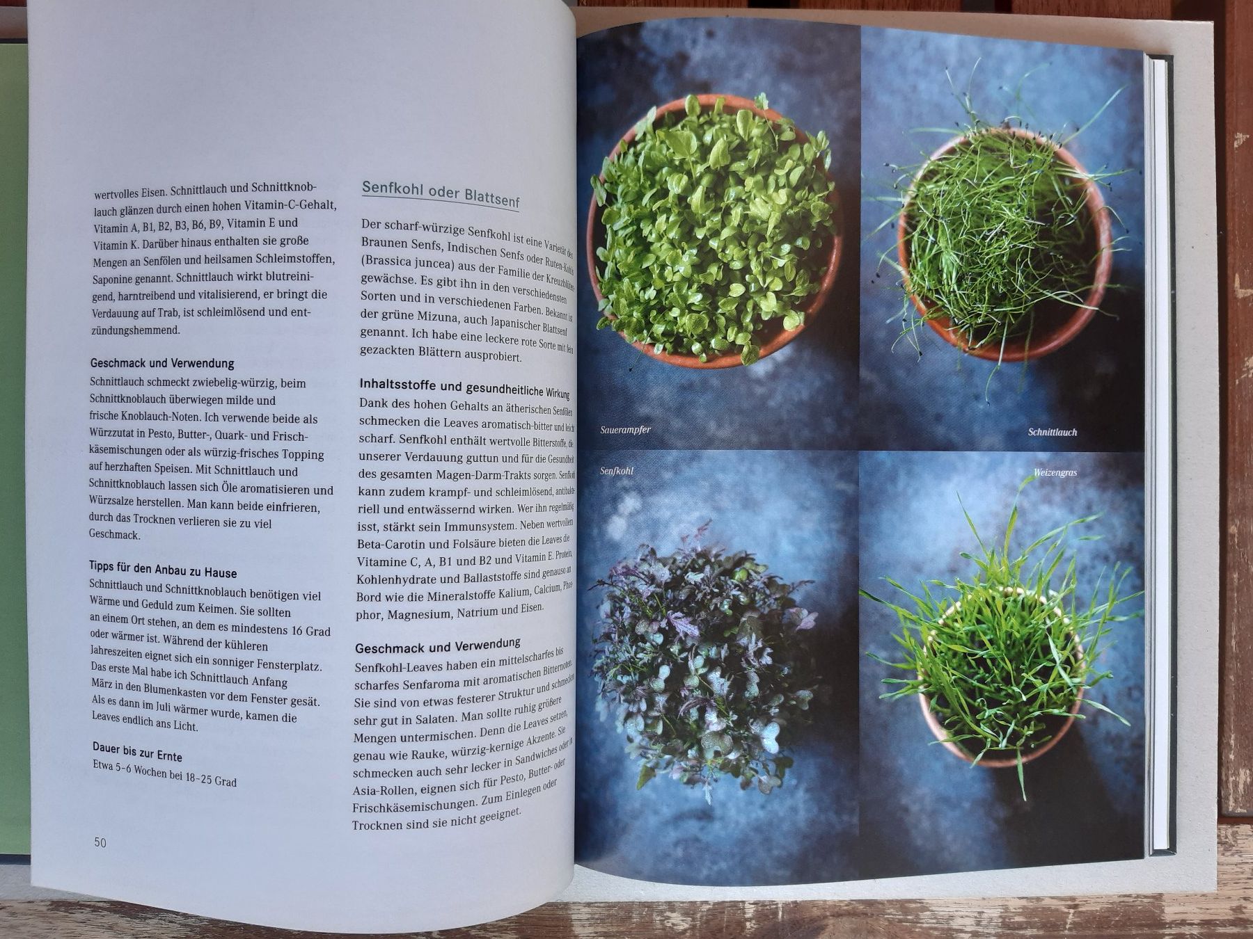 Libri: Micro Greens Micro Leaves (Manuela Rüther) – Nuovo (secondo la descrizione) da Basel venduto da odradek 4