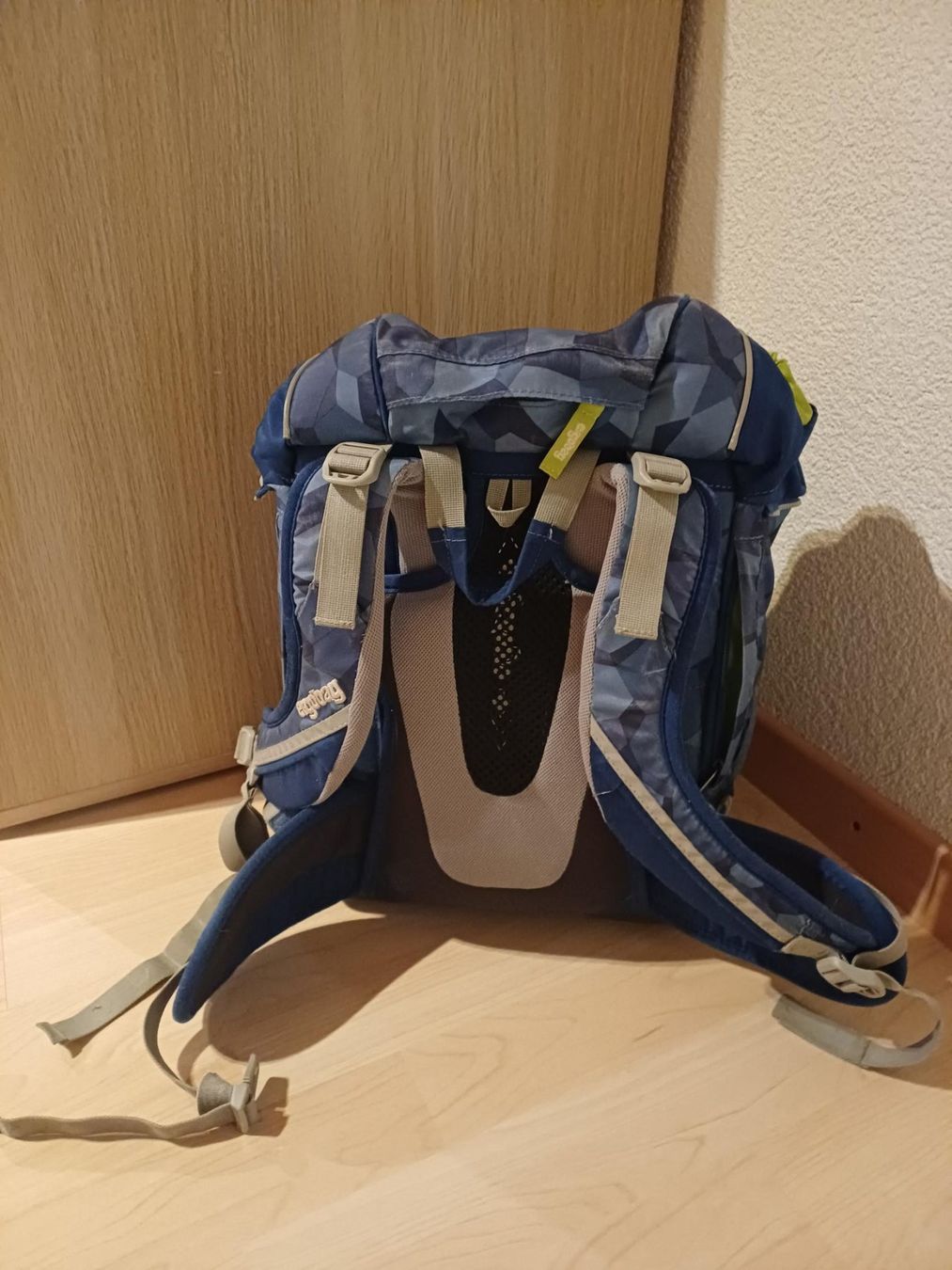 Ergobag Borse & Zaini: Schulsack Ergobag – Usato da Biezwil venduto da Tannentuerli 1