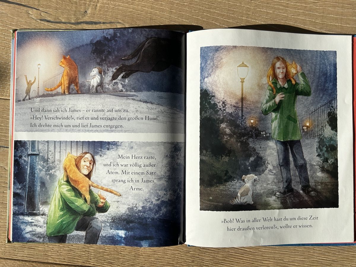Livres: Kinderbuch Bob der Streuner – D'occasion à Winterberg ZH par Amina023 2