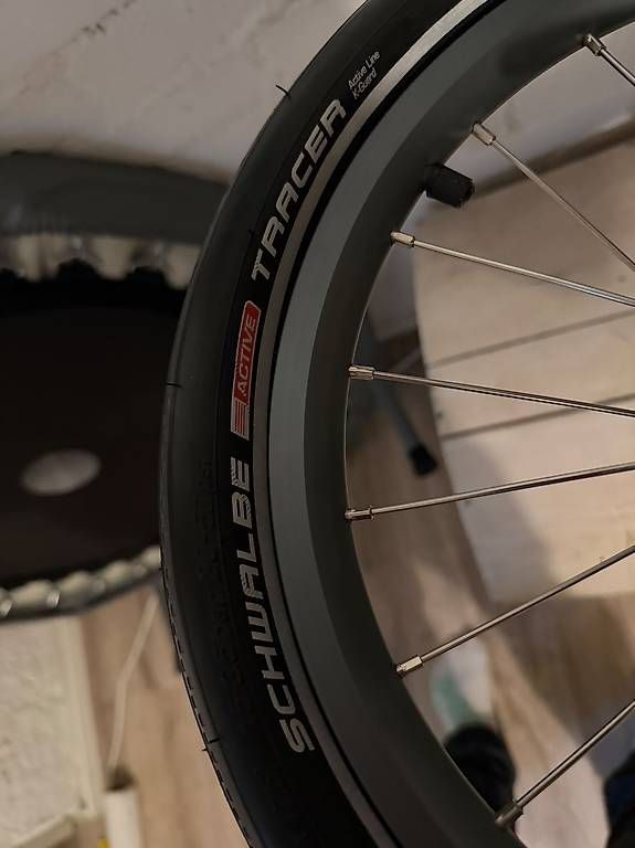 Rimorchi: Veloanhängerrad Thule – Nuovo e nell'imballaggio originale da Hendschiken venduto da danimonti1979 2